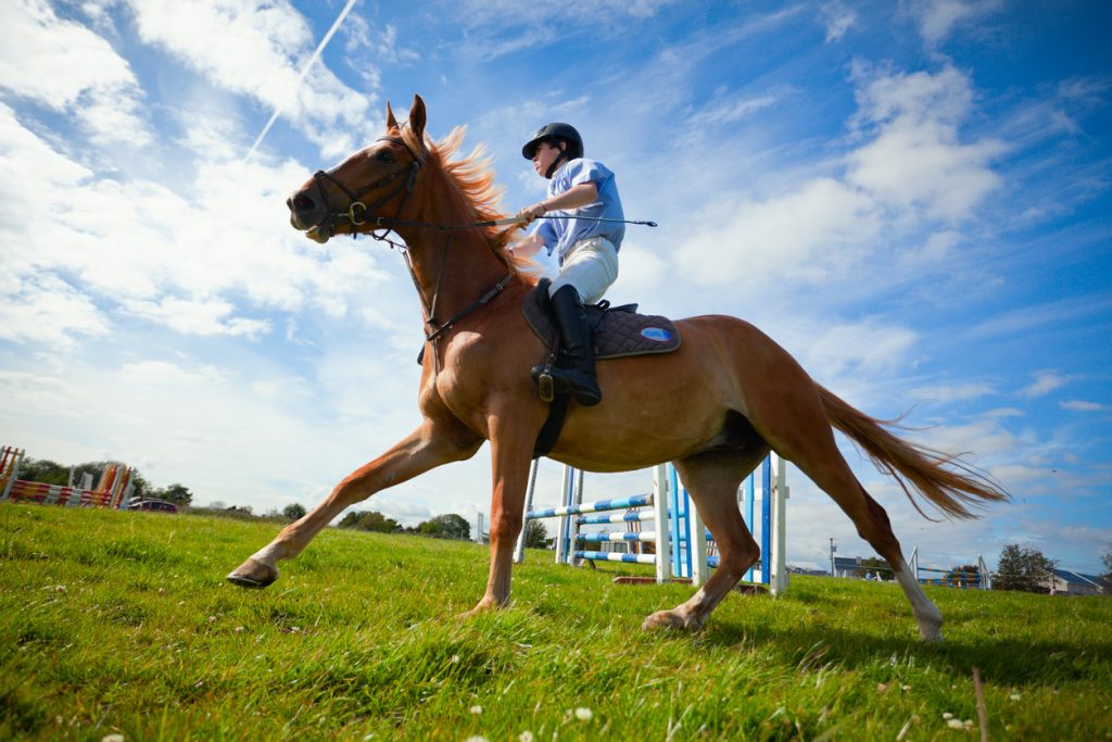 Galway Races Jockey with his horse