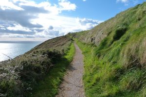 ballycotton cliff walk cork